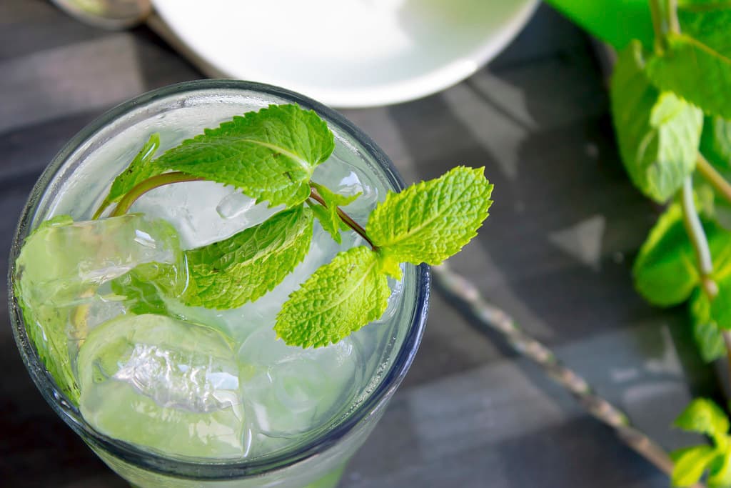 Mojito
